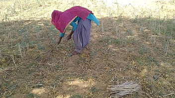 गांव की धूप में पसीने से तरबतर देसी जवान ने खेत की मेड़ पर जमकर चोदा
