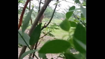 My Rural Rear Exhibition For Your Viewing Pleasure