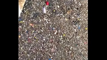 Innocent Country Lass And Lad Tangled In Rustic Passion