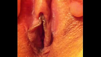 Sultry Silk Lotus Blossom